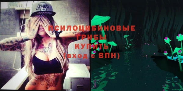 MDMA Новодвинск
