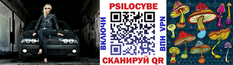 KRAKEN   Трубчевск  Псилоцибиновые грибы Magic Shrooms  наркотики 